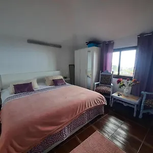Mi Placer Apartamento